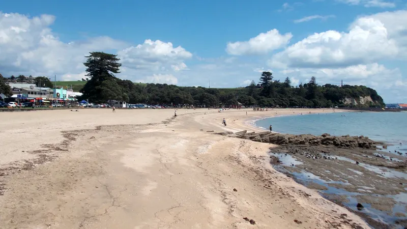 Mission Bay and Tamaki Drive in auckland nz