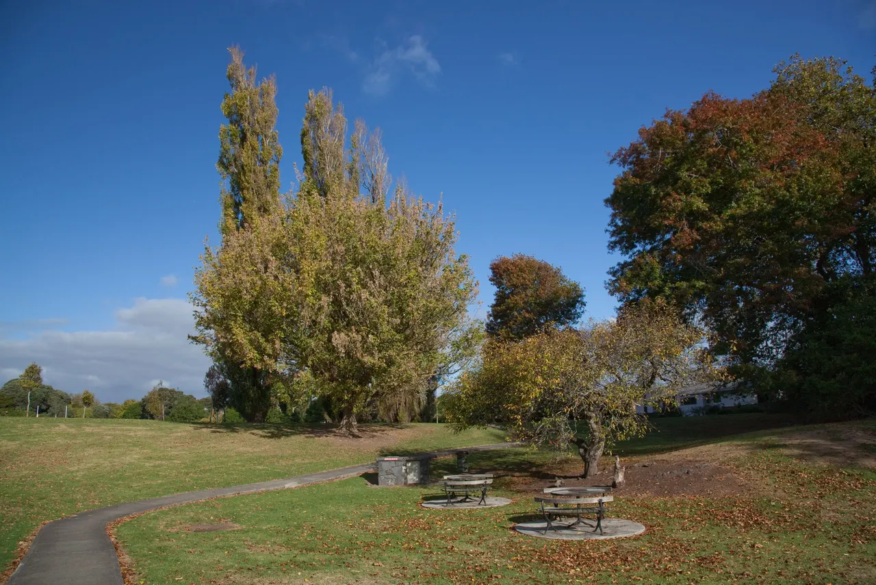 Morningside in Auckland