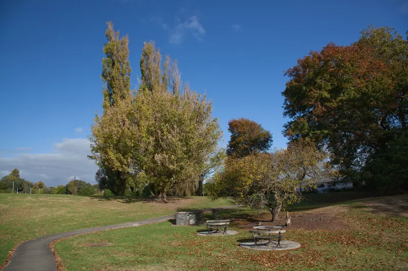 Morningside in Auckland