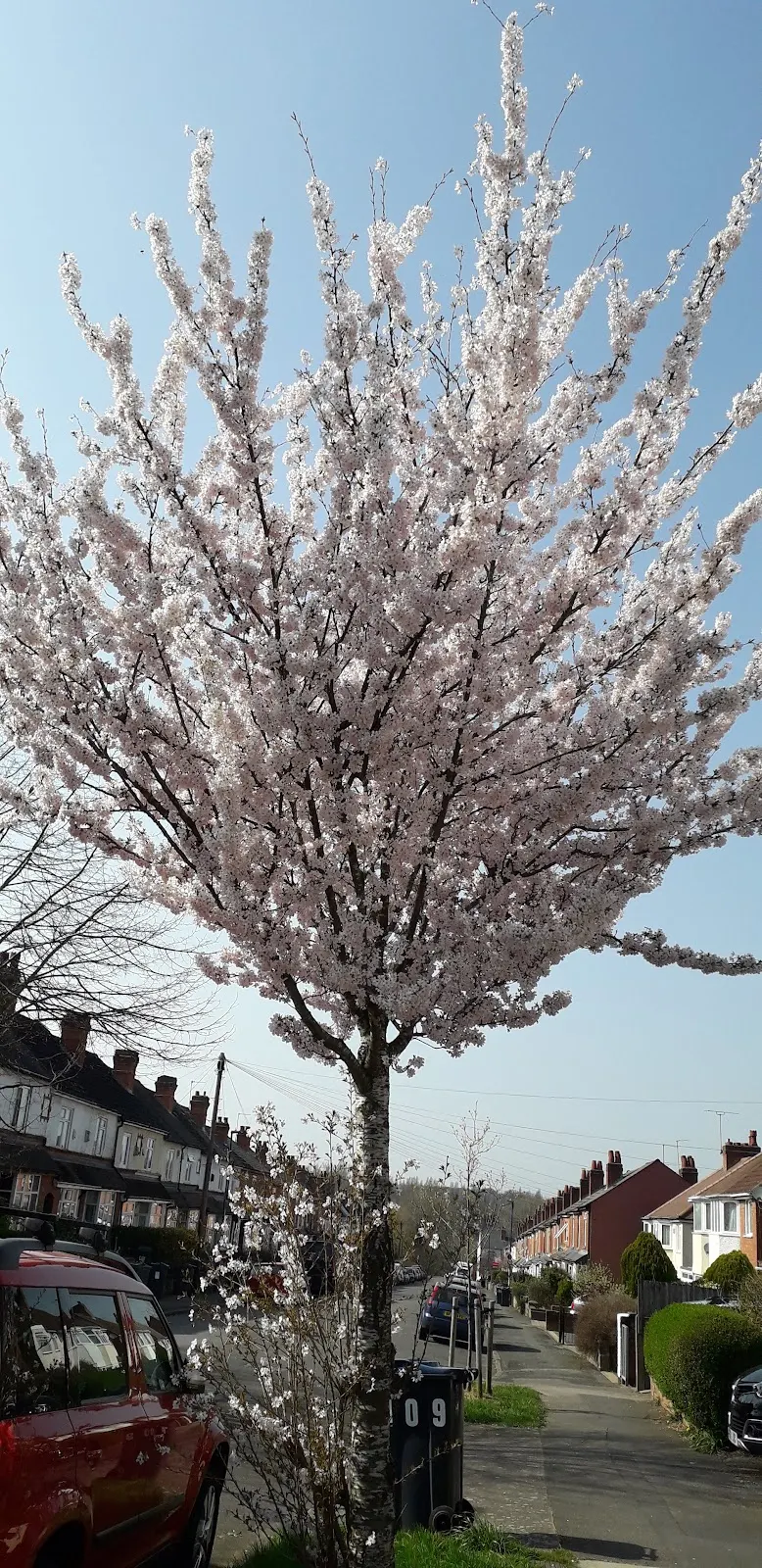 Moseley in Birmingham
