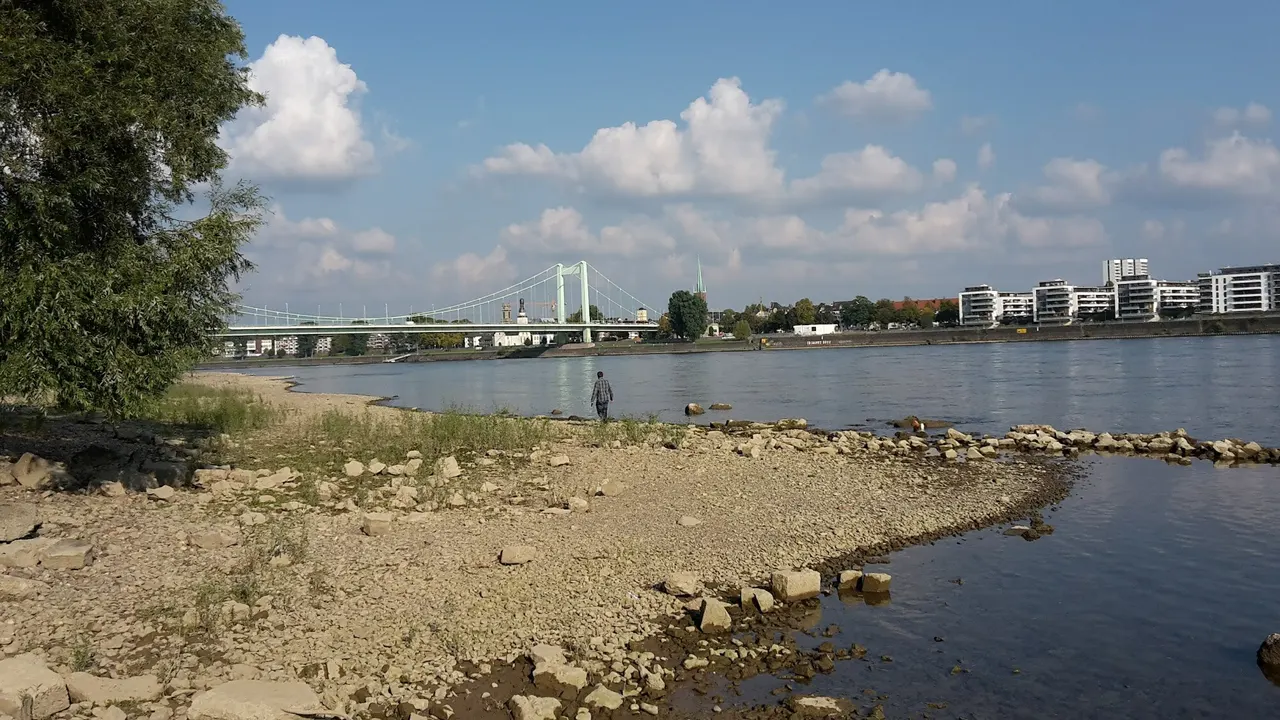 Riehl in Cologne