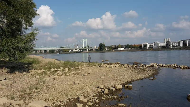 Riehl in Cologne