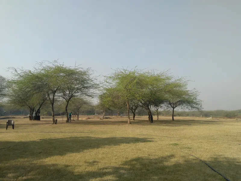 Vasant Kunj in Delhi