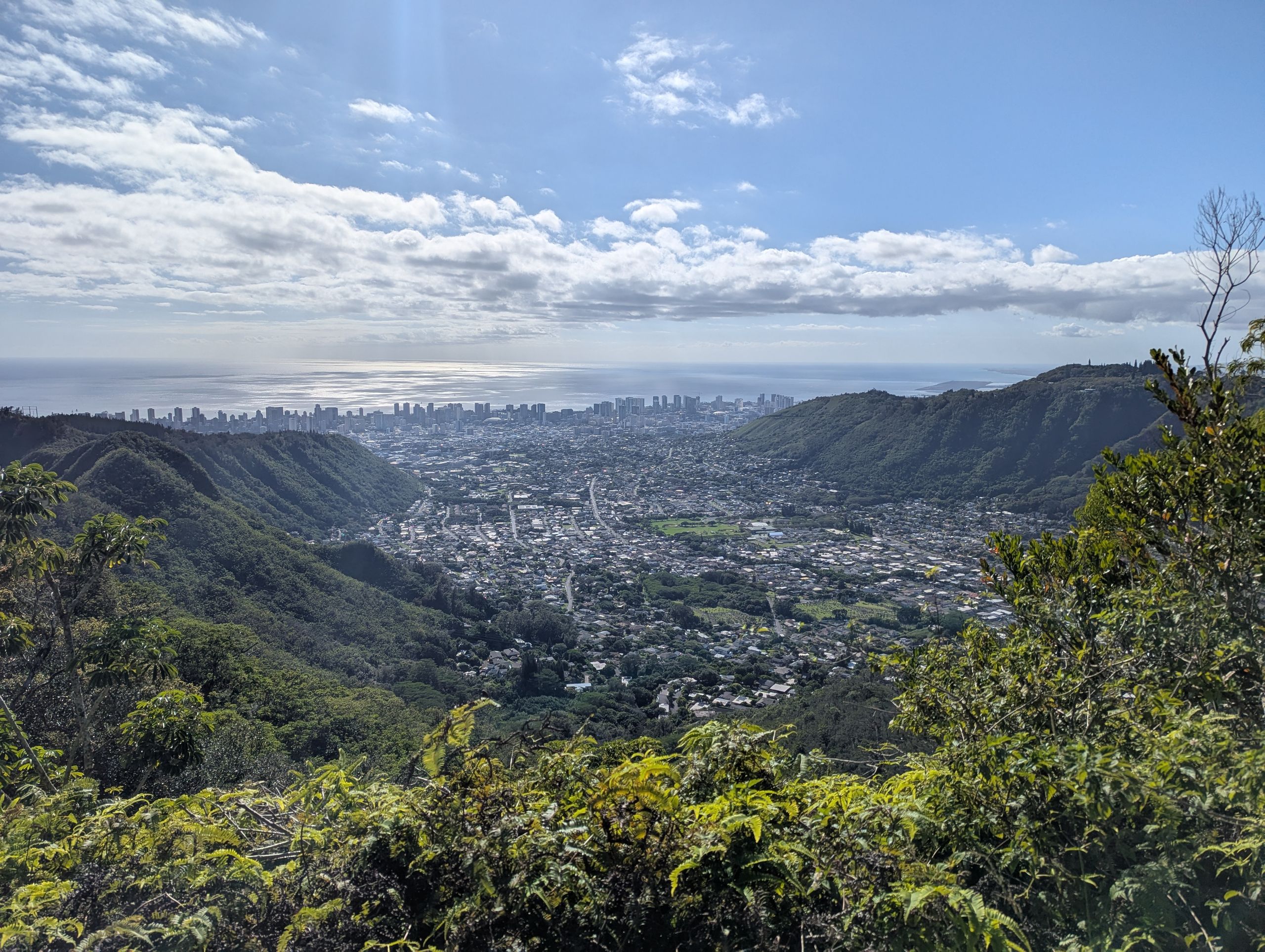 Manoa in Honolulu
