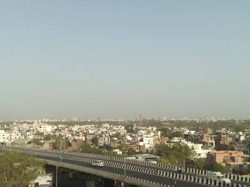 Sodala in Jaipur