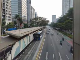 Gelora