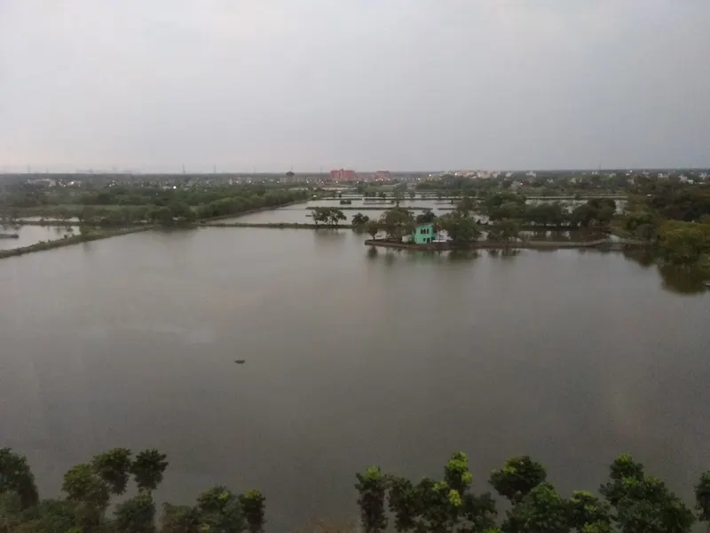 Dhapa in Kolkata
