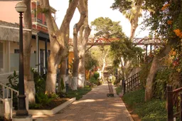 Barranco