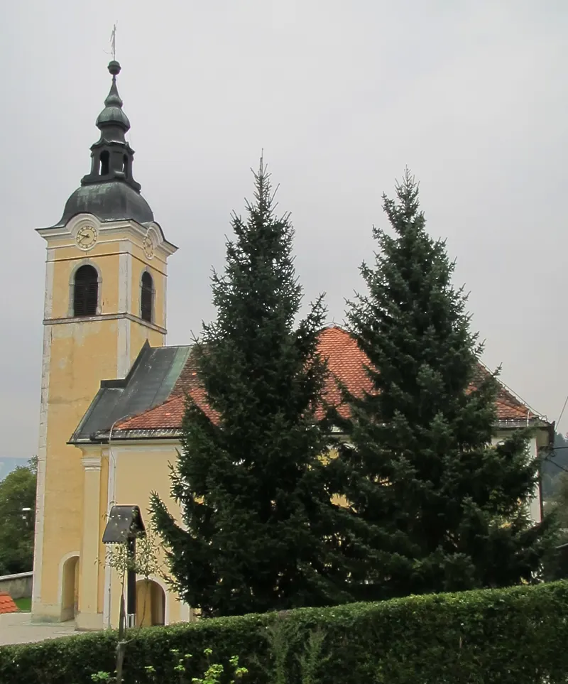 Bizovic in Ljubljana