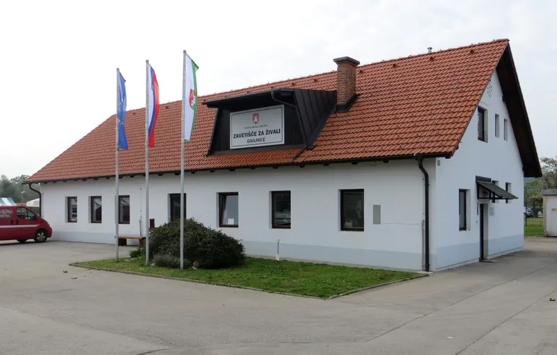 Vic in Ljubljana