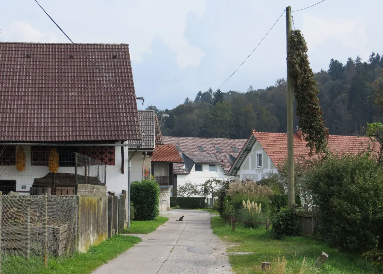 Zgornja Šiška in Ljubljana