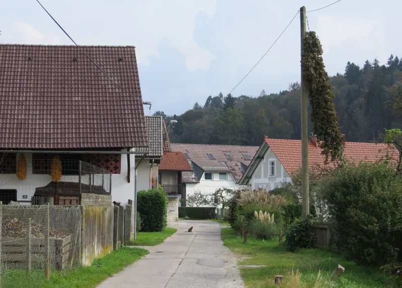 Zgornja Šiška in Ljubljana