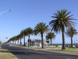Albert Park