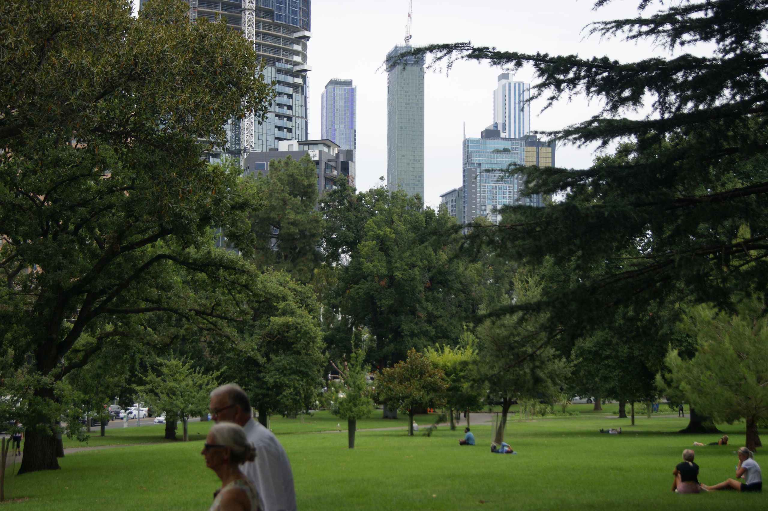 Carlton in Melbourne