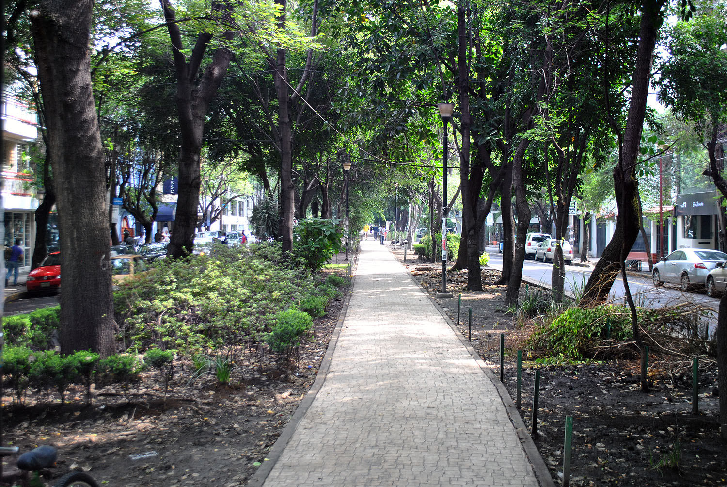 Colonia Condesa in Mexico City