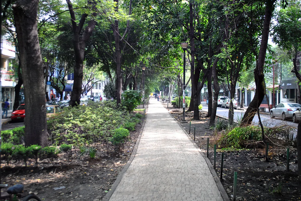 Colonia Condesa in Mexico City