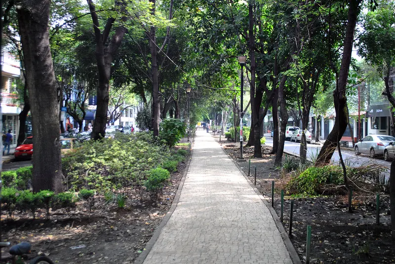 Colonia Condesa in Mexico City