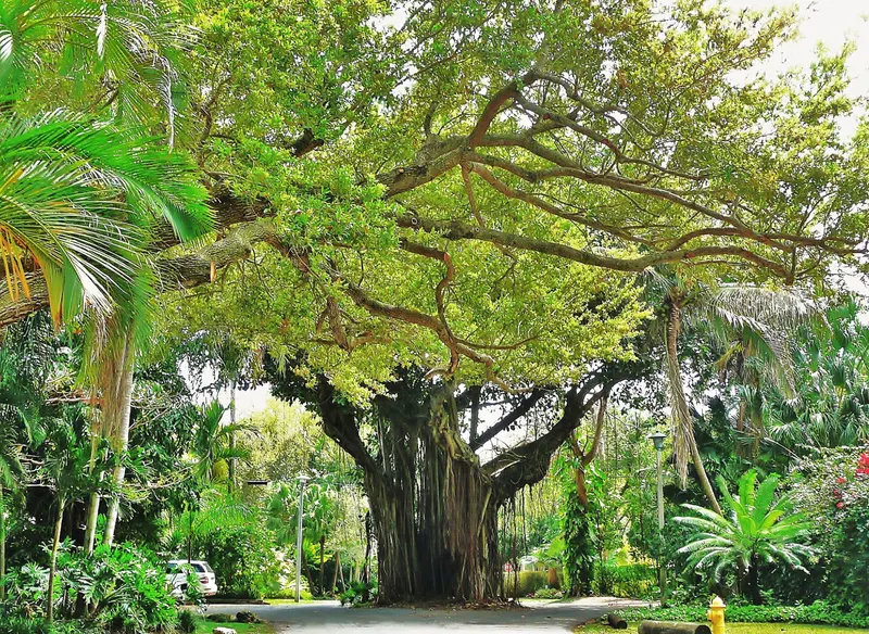 Coconut Grove in miami us