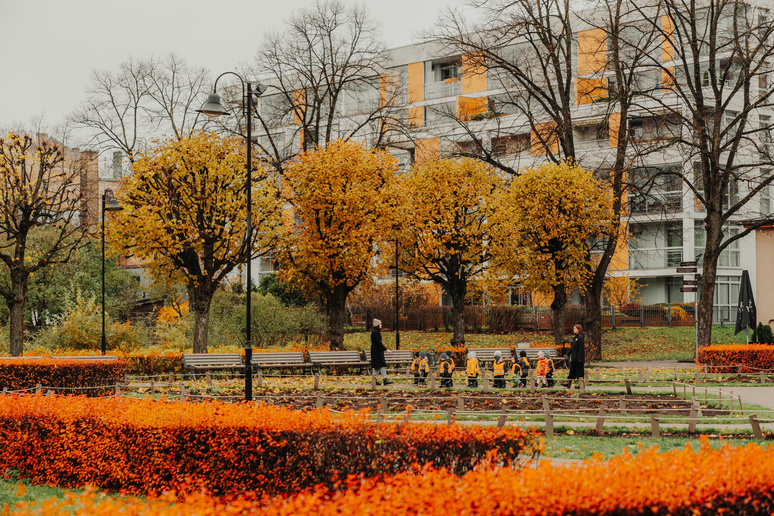 Avoti in Riga