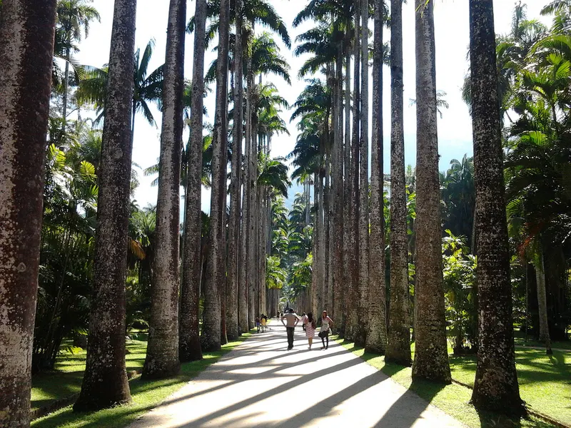 Jardim Botânico in Rio de Janeiro