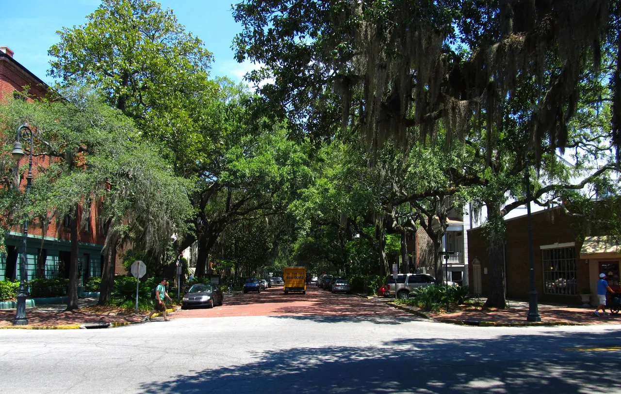 Historic District in Savannah