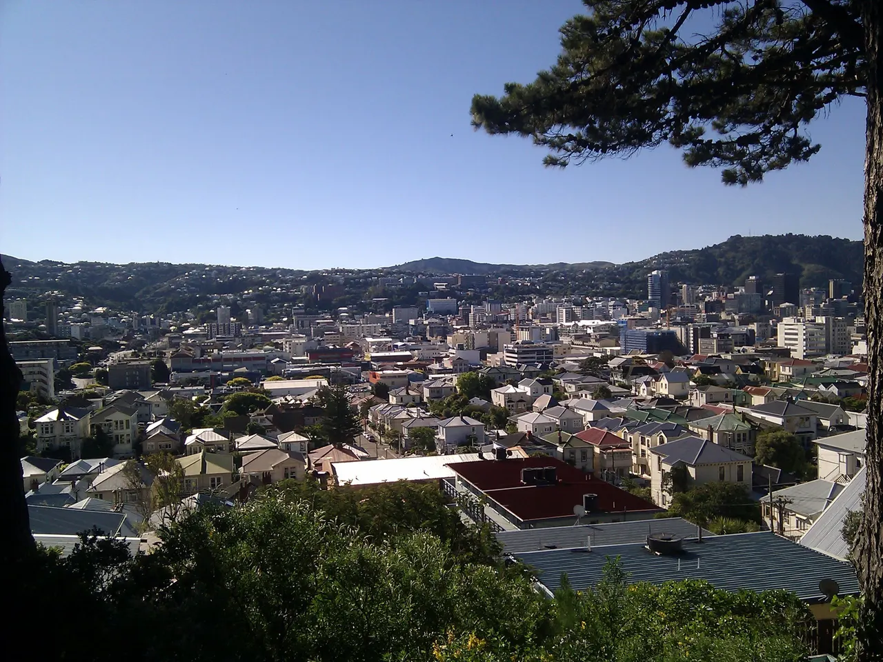 Mount Victoria in Wellington