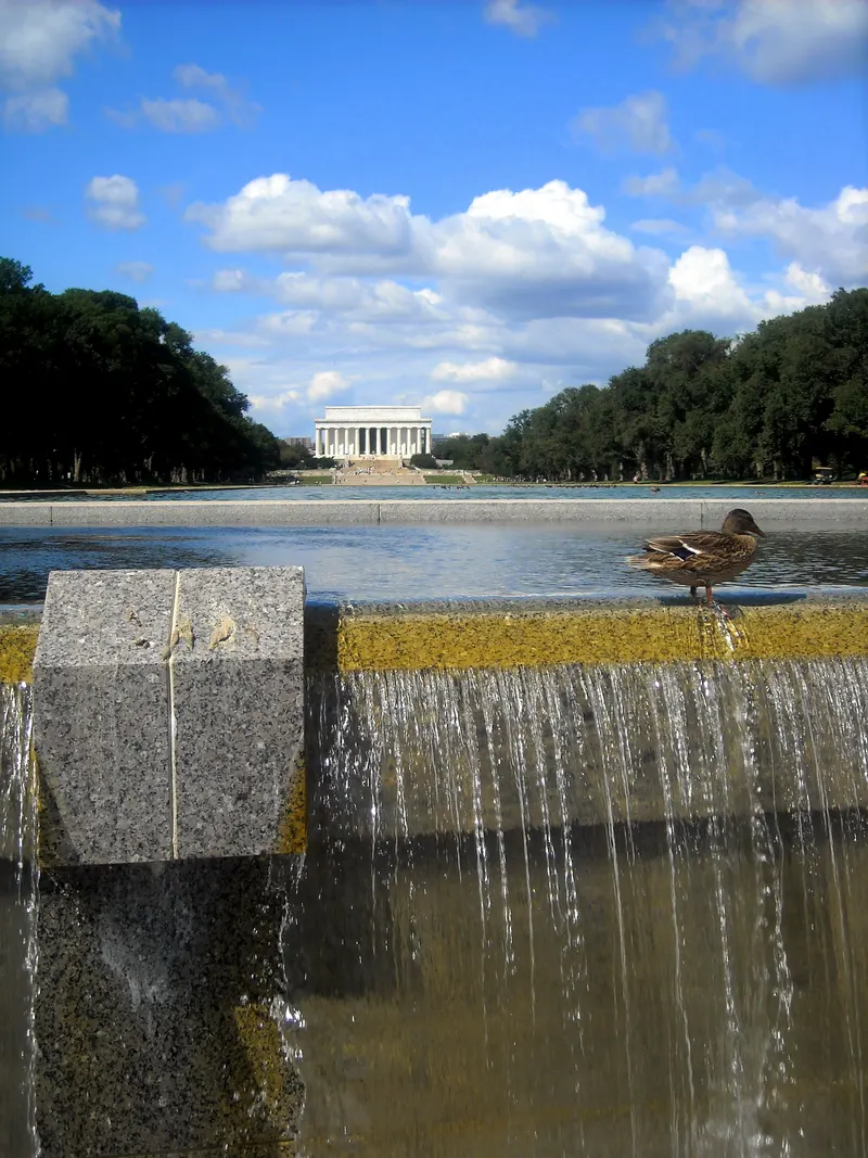 West Potomac Park in Washington