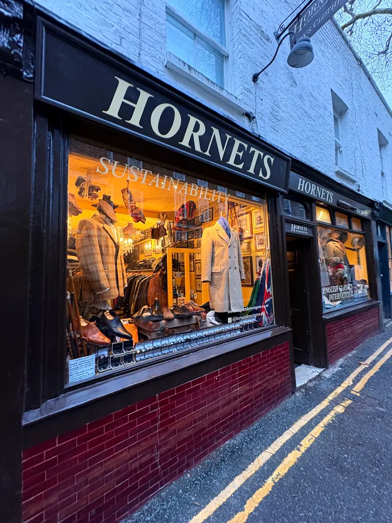 Hornets in Kensington, London