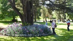 Queen Elizabeth Park