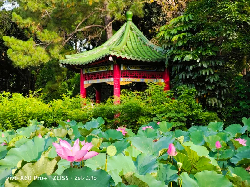 Taipei Botanical Garden