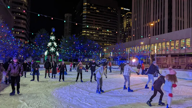 The Southwest Rink at Skyline Park