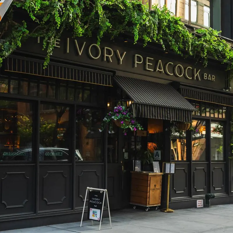 The Ivory Peacock