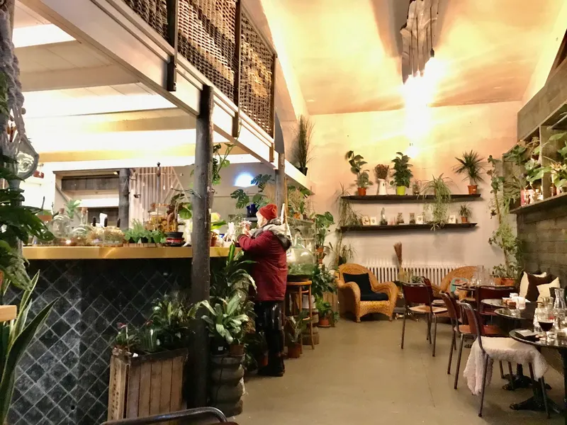 Coocoo's Nest