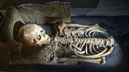 Jorvik Viking Centre