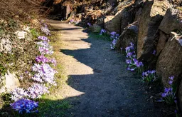 Planten un Blomen