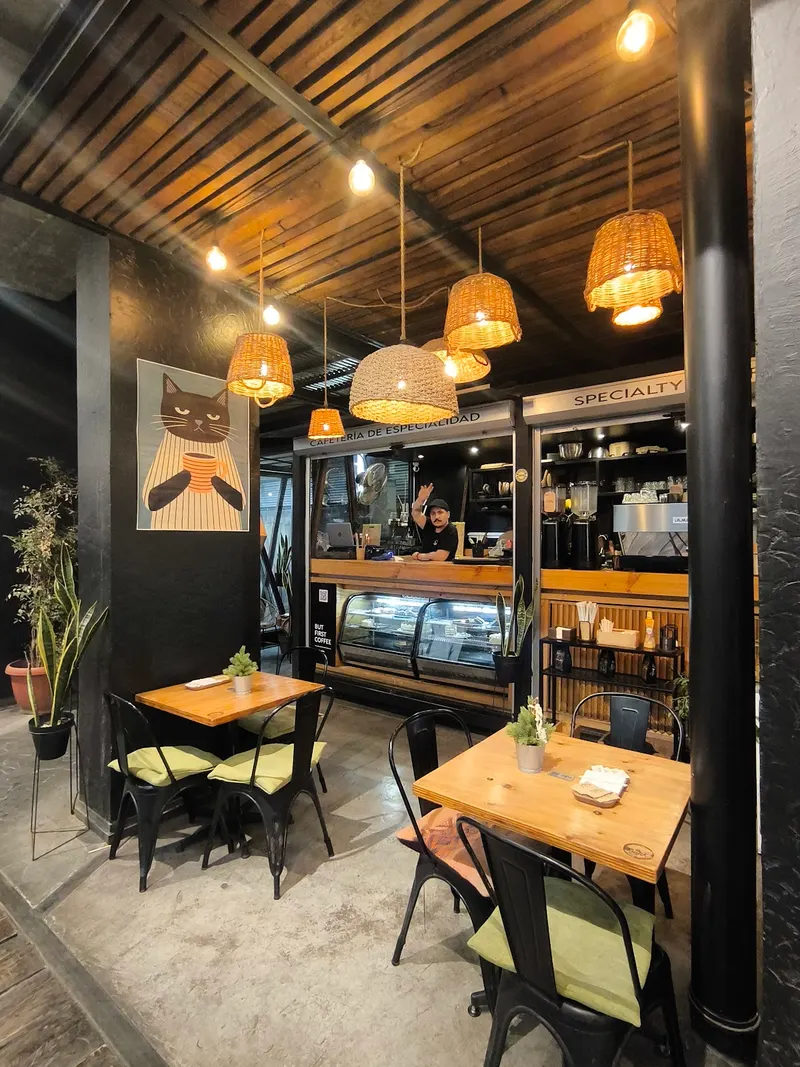 Rustik Coffee in Santa Carolina, Santiago