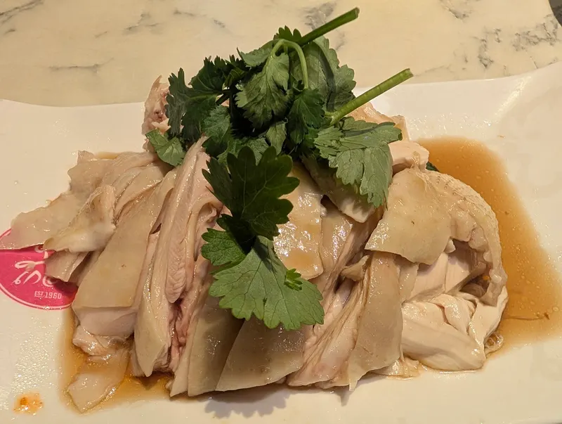 Go-Ang Pratunam Chicken Rice (Plaza Singapura) in Dhoby Ghaut, Singapore