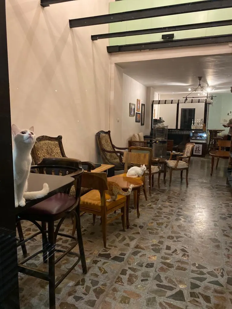 Bast Space in Kherbet Al-Souk, Amman
