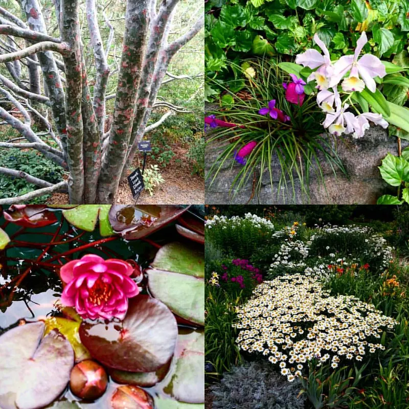 Denver Botanic Gardens in Denver