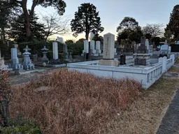 Aoyama Cemetery