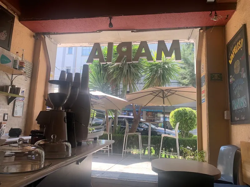 María Café in Colonia Narvarte Oriente, Mexico City