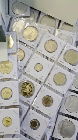 D of J Coins and Collectibles