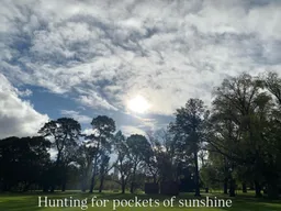 Fawkner Park East