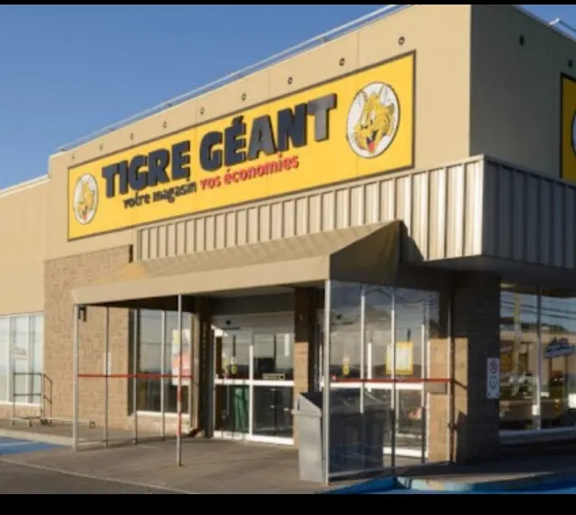 Tigre Géant