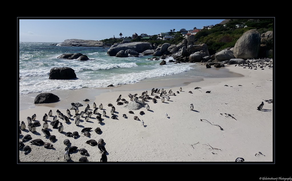 Simon's Town in Cape Town