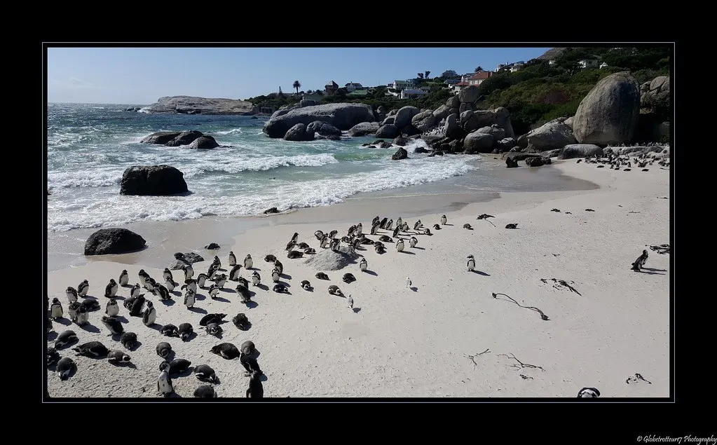 Simon's Town in Cape Town