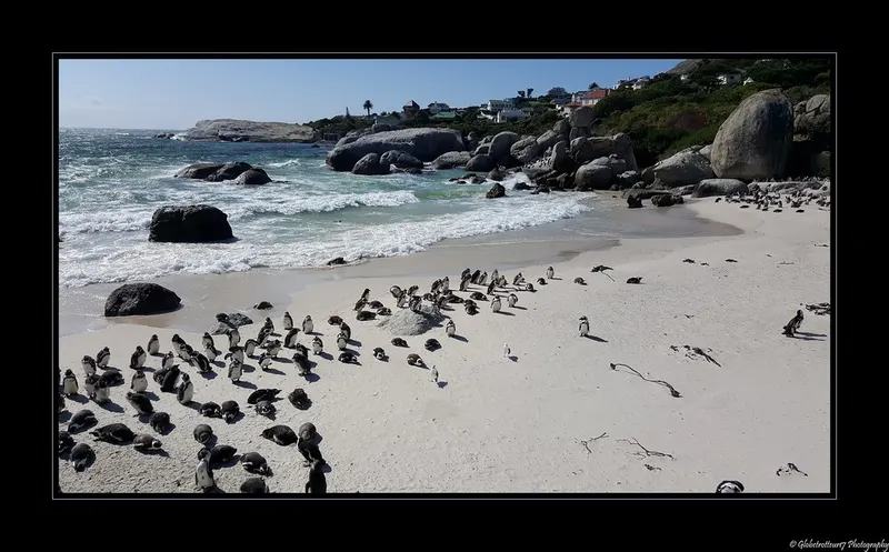 Boulders Beach