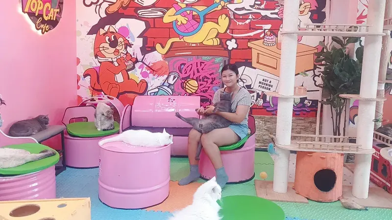 Top Cat Café in Kathu, Phuket