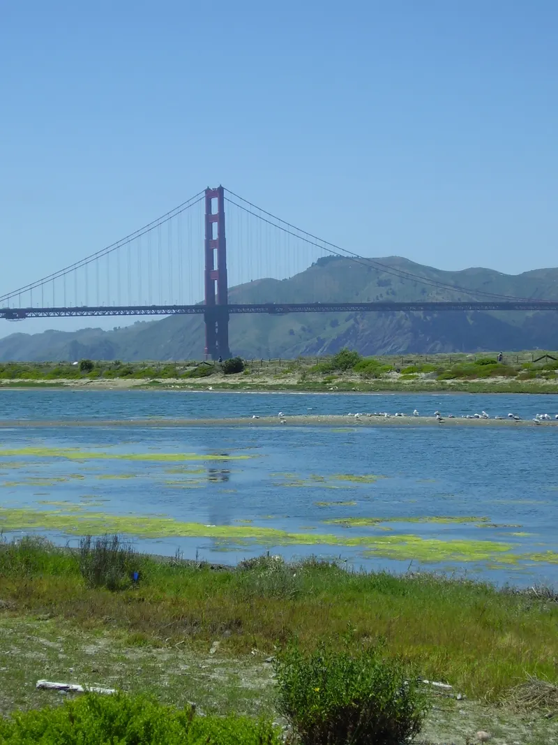 Crissy Field Marsh and Beach