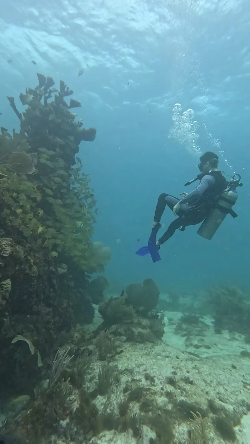 Seatizen Divers in Punta Cancun, Cancun